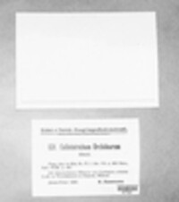 Colletotrichum orchidearum image